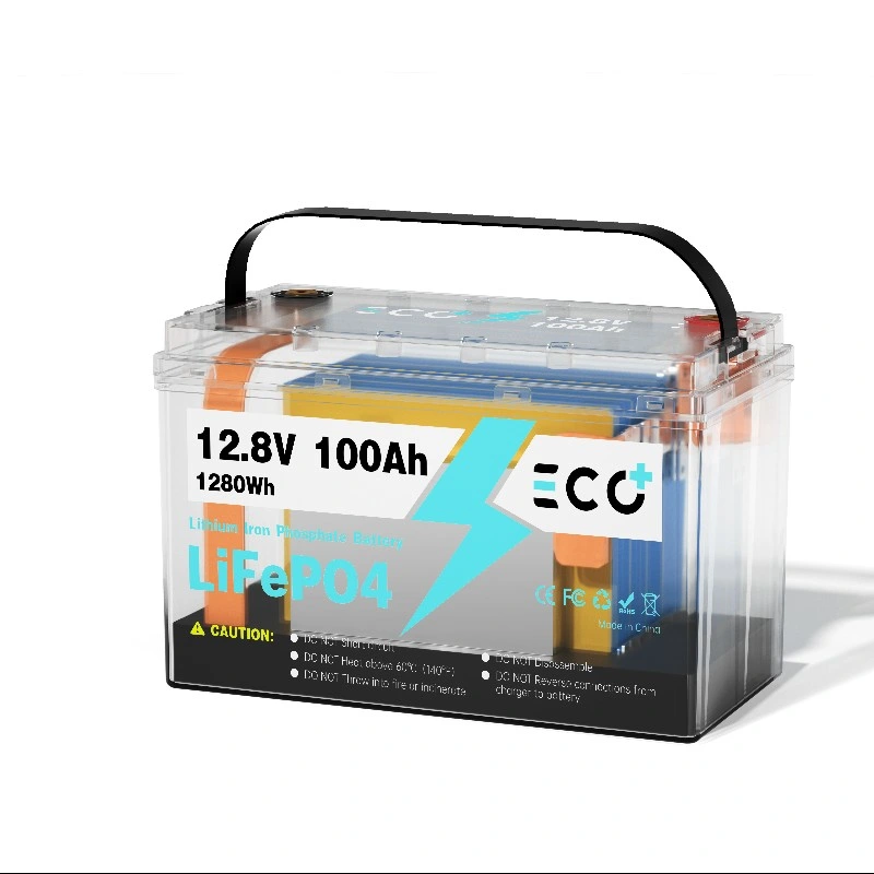 12V 100ah Rechargeable Deep Cycle 24V LiFePO4 Lithium Iron Phosphate Battery Built-in 100A BMS for Marine